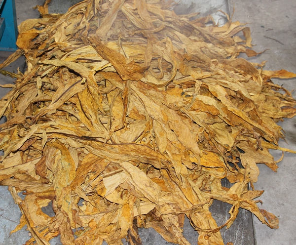 Tütün dumanı tüten makine